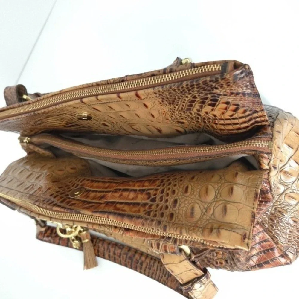 Brahmin dark brown